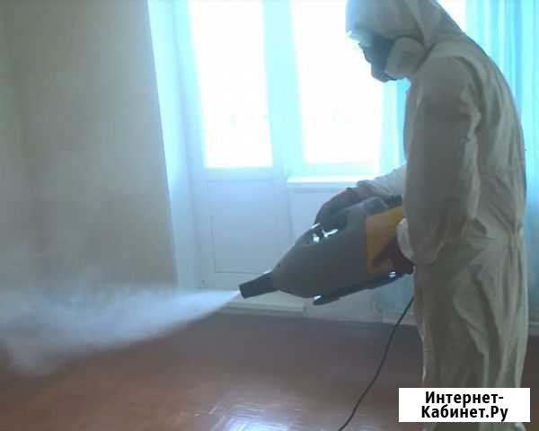 Уничтожение клопов Уфа - изображение 1