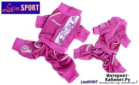 Новый спортивный костюм р. XS Москва - изображение 1