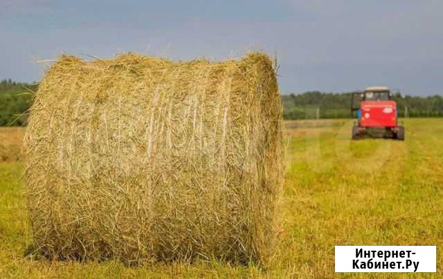 Сено в рулонах по 350кг Лысьва - изображение 1