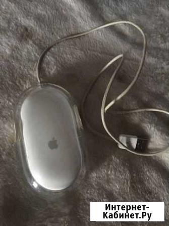 Мышь Apple M5769 Санкт-Петербург - изображение 1