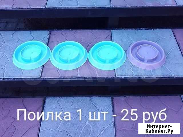 Продам товары для разведения домашней птицы Коркино - изображение 1