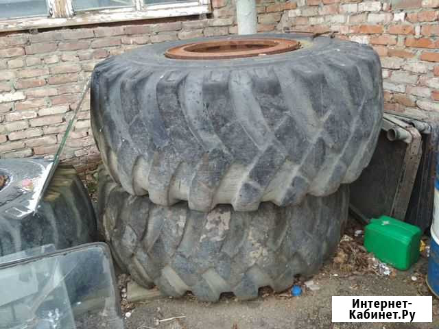 Погрузчик Сельхоз Шина, Колесо фбел-199 26.5r25 Адыге-Хабль - изображение 1