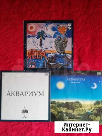 Винил Слободской - изображение 1