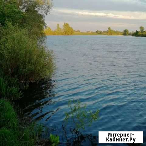 Судзуки Куяново - изображение 1