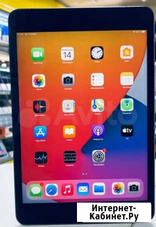 Apple iPad mini (2019) 64Gb Wi-Fi + Cellular, imei Ростов-на-Дону - изображение 1