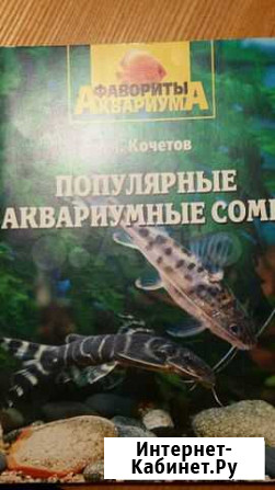 Аквариум Брянск - изображение 1