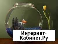 Круглый аквариум с золотой рыбкой или петушком Иркутск - изображение 1