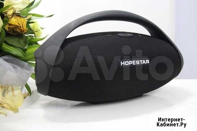 Портативная колонка с ручкой Hopestar H31 (Bluetoo Чита - изображение 1