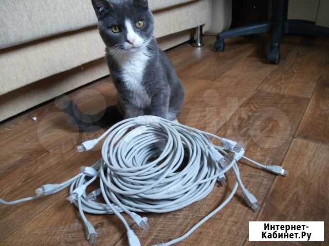 Патч корды cat5e (витая пара) Вологда - изображение 1
