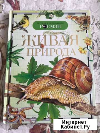 Книга Оренбург - изображение 1