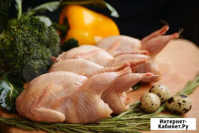 Мясо перепелов Натухаевская - изображение 1