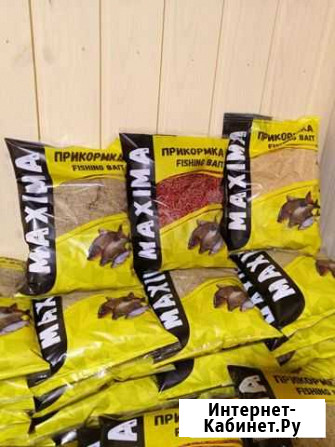 Прикормка для рыбалки maxima Владимир - изображение 1