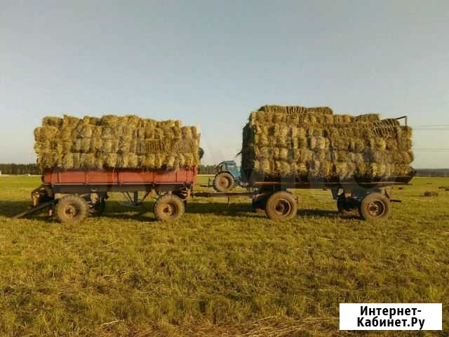 Сено в тюках Кукуштан - изображение 1