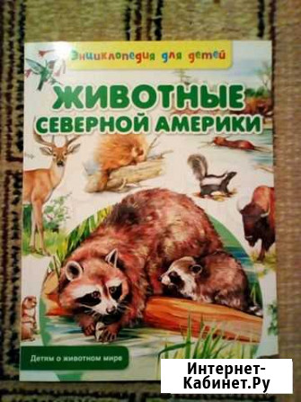 Книга Набережные Челны - изображение 1