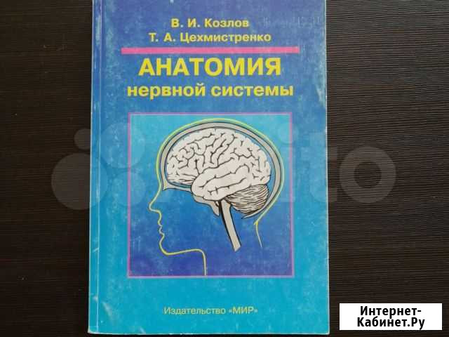 Анатомия нервной системы Смоленск - изображение 1