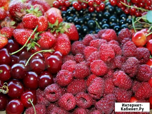Ягоды, грибы, овощные заморозки, орех Иркутск - изображение 1