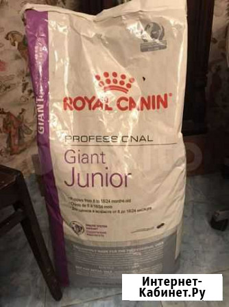 Корм для собак новый royal canin giant junior Казань - изображение 1