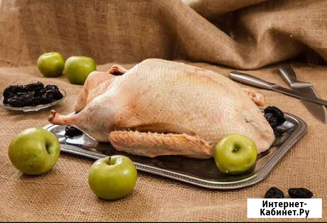 Мясо гуся Курган - изображение 1