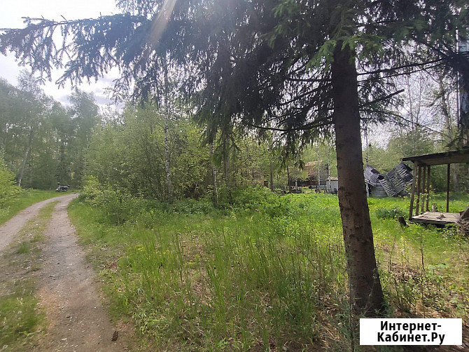 Участок СНТ, ДНП 12 сот. на продажу в Рошале Рошаль - изображение 5
