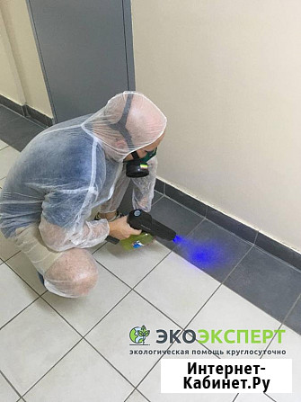 Демеркуризация. Москва и область. Собрать ртуть Москва - изображение 1