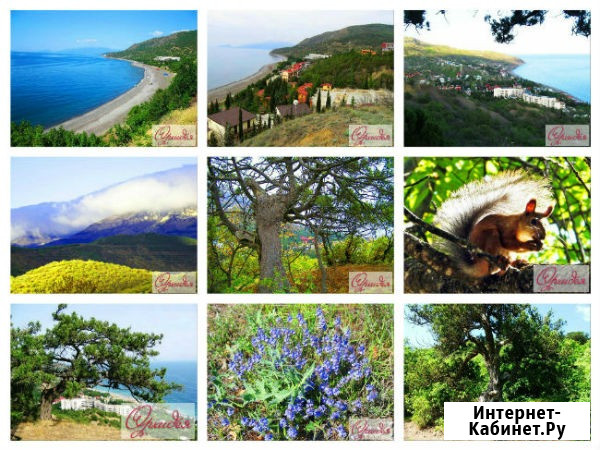Канака отдых снять жилье в пансионате Канака в Алуште Алушта - изображение 4