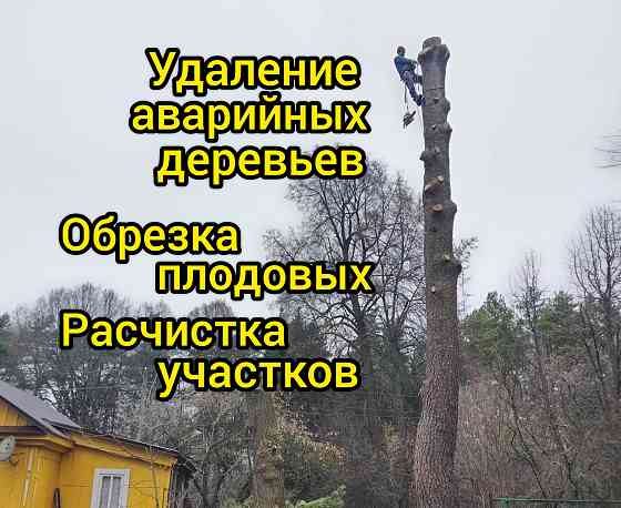 Спил деревьев, расчистка участка, обрезка плодовых деревьев Малоярославец