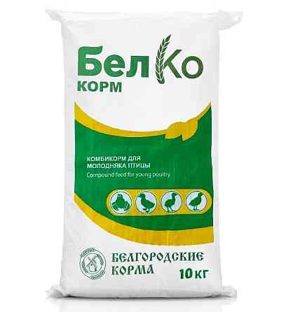 Комбикорм для бройлеров в Белгороде от производителя Старый Оскол