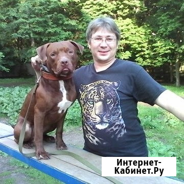 Кинолог профессиональная дрессировка собак Москва - изображение 2