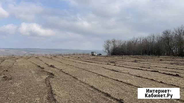 Расчистка территорий от деревьев и пней от 1 Га Краснодар - изображение 3