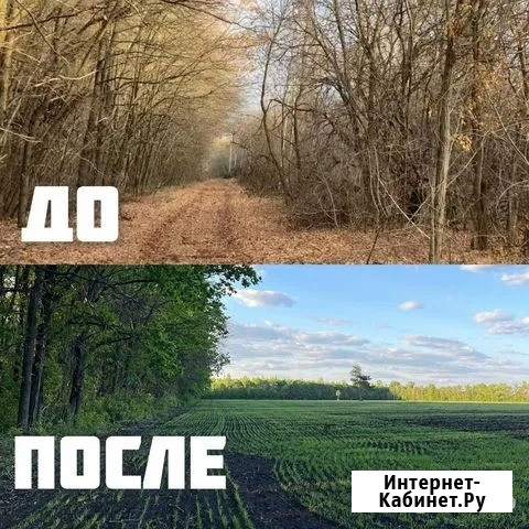 Расчистка территорий от деревьев и пней от 1 Га Тула - изображение 4