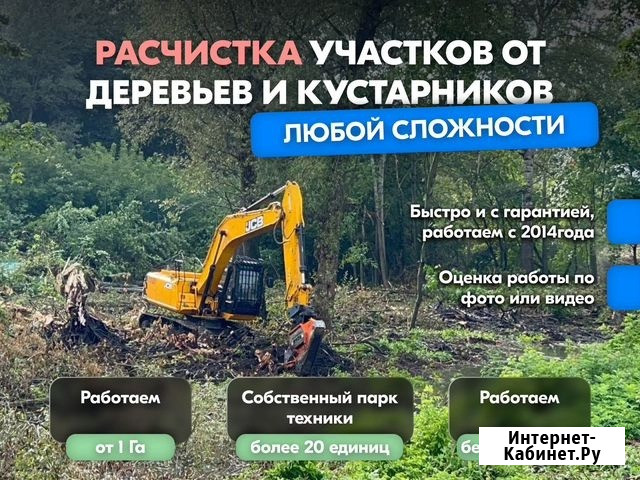 Расчистка территорий от деревьев и пней от 1 Га Воронеж - изображение 1