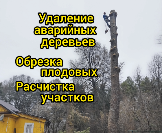 Спил обрезка вырубка деревьев , расчистка участка Козельск Козельск