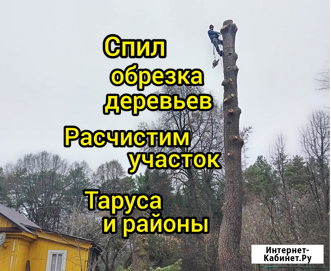 Спил обрезка вырубка деревьев расчистка участка Таруса Таруса - изображение 1