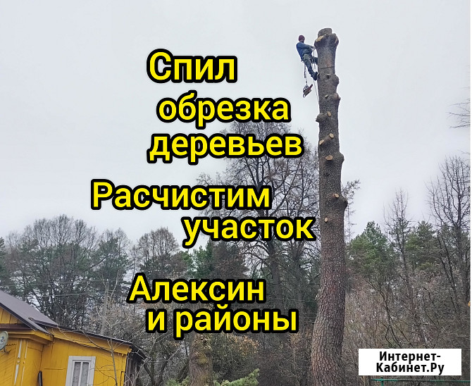 Спил вырубка обрезка деревьев расчистка участка Алексин Алексин - изображение 1