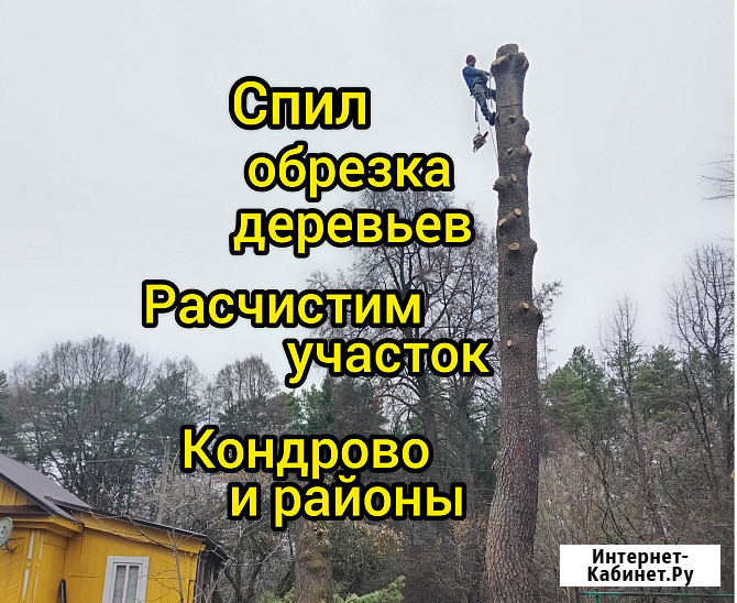 Кондрово Кондрово - изображение 1
