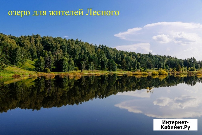 Участок ИЖС 15.5 сот. на продажу в Красноярске Красноярск - изображение 5
