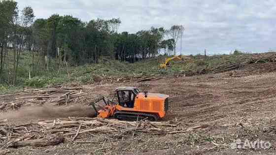 Расчистка территорий от деревьев и пней от 1 Га Калуга