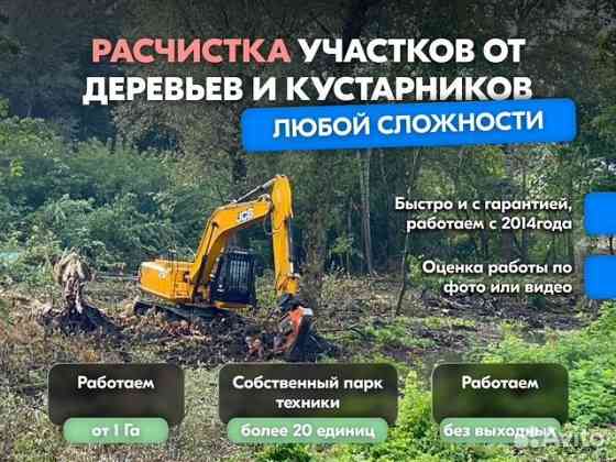 Расчистка территорий от деревьев и пней от 1 Га Калуга