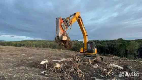 Расчистка территорий от деревьев и пней от 1 Га Калуга