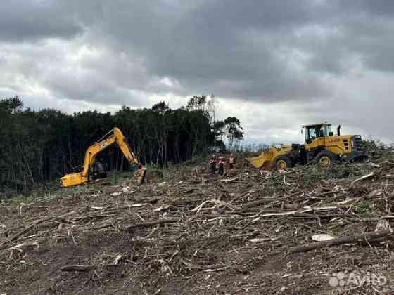 Расчистка территорий от деревьев и пней от 1 Га Рязань