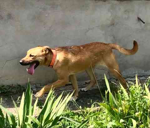 Прекрасная Марта Санкт-Петербург