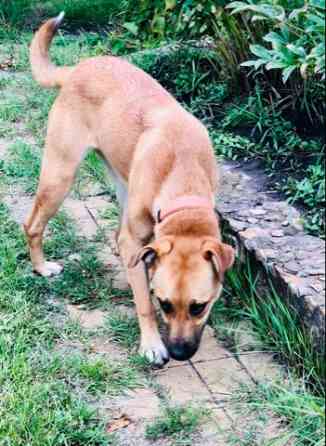 Прекрасная Марта Санкт-Петербург