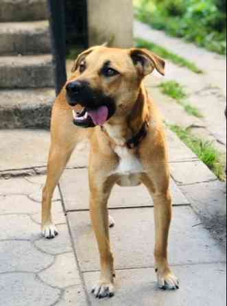 Прекрасная Марта Санкт-Петербург