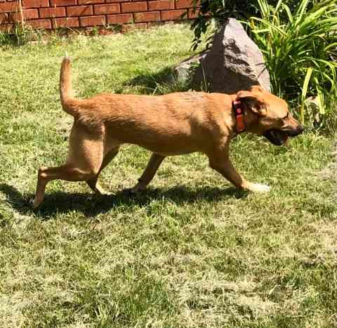 Прекрасная Марта Санкт-Петербург