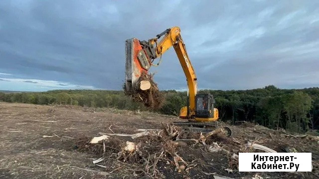 Расчистка территорий от деревьев и пней от 1 Га Брянск - изображение 3