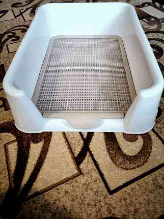 Лоток для собак и кошек. Совсем мало Б/У Саратов