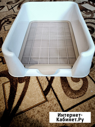 Лоток для собак и кошек. Совсем мало Б/У Саратов - изображение 1