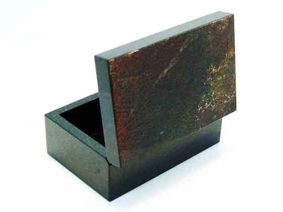 Динозавр - Коллекционная Шкатулка из окаменевшей кости - камня Динобон Москва