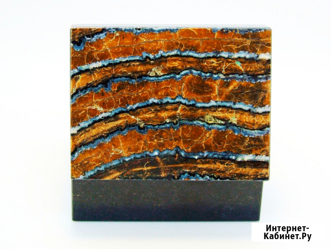 Зуб Мамонта - Коллекционная Шкатулка Москва - изображение 2