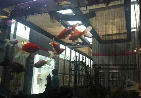 М.Кожуховская. Предлагаем помещение столовой 136, 8 м.кв. в Бизнес Парке Москва